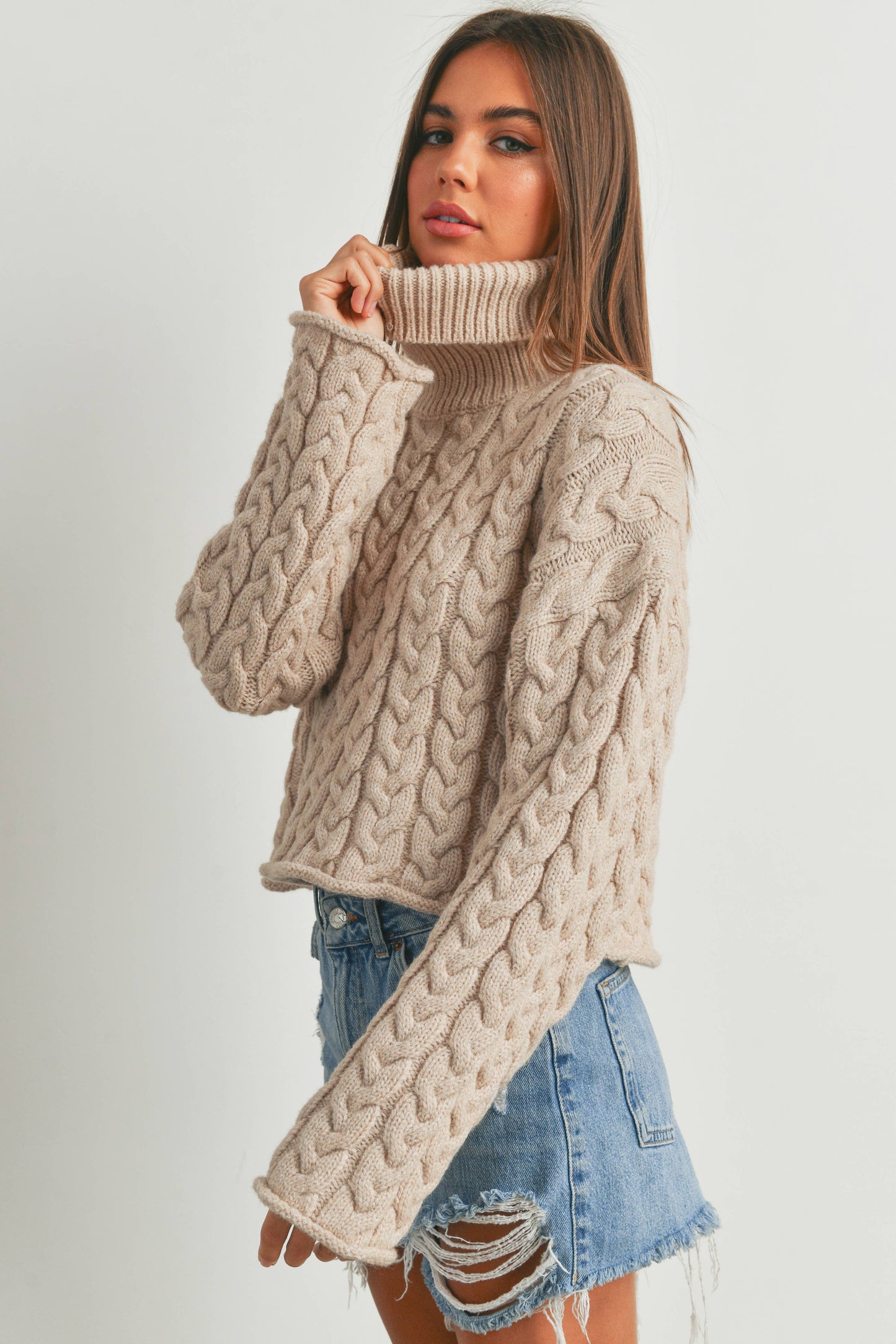 THICK BRAID WITH TURTLE NECK SWEATER