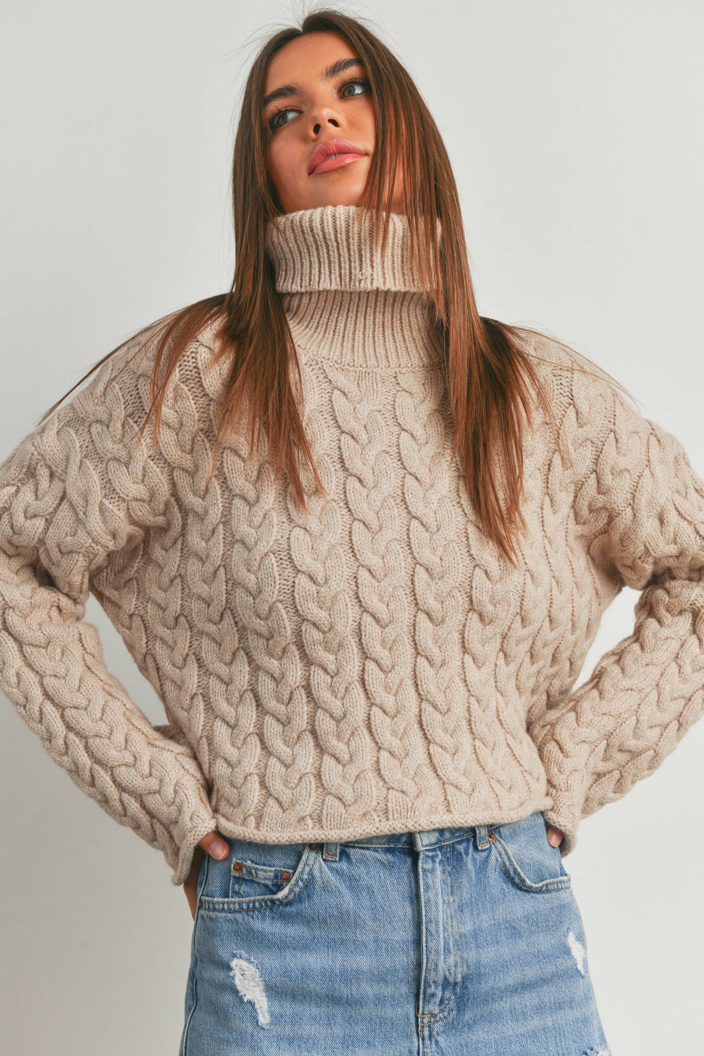 THICK BRAID WITH TURTLE NECK SWEATER