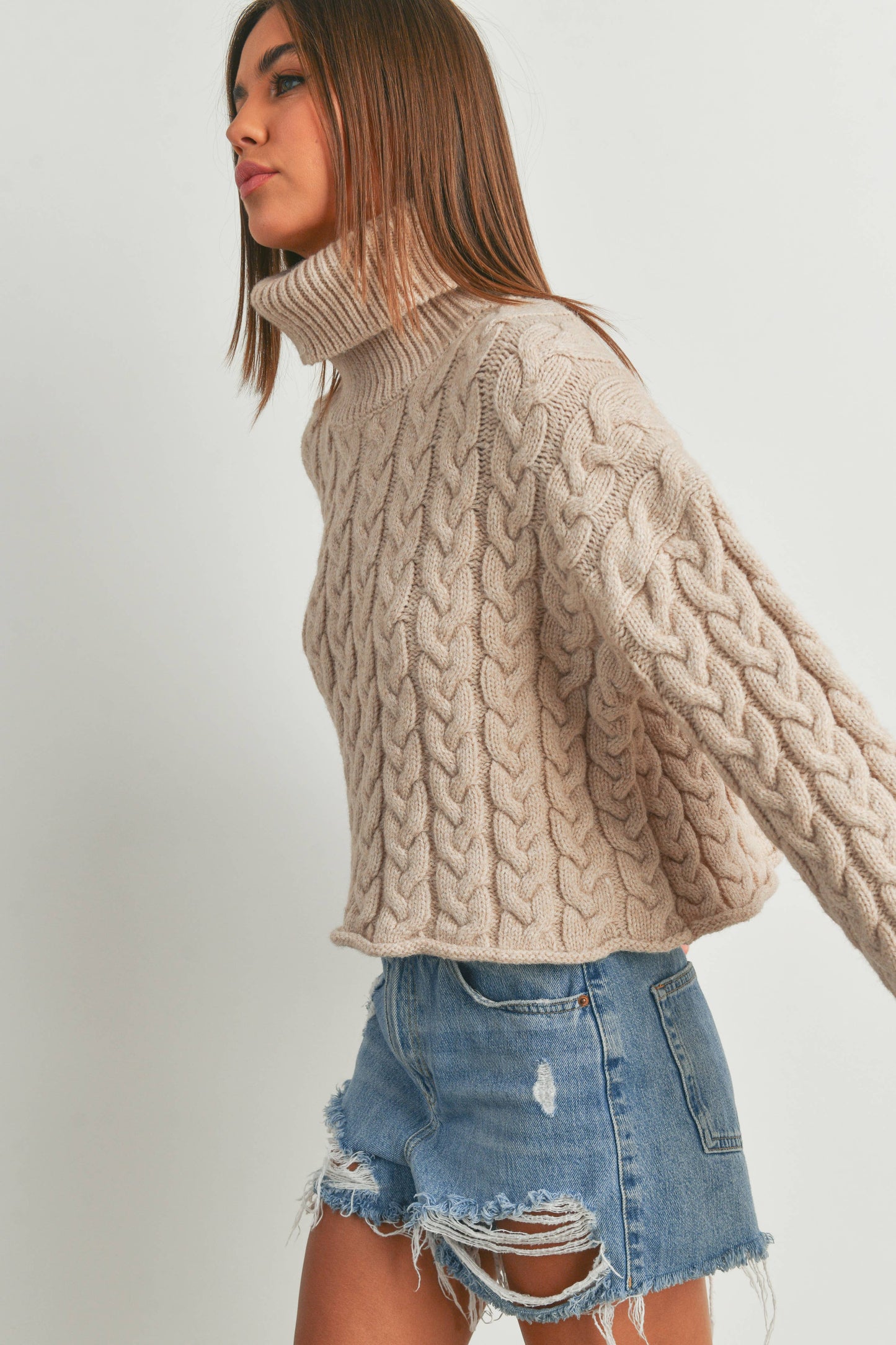 THICK BRAID WITH TURTLE NECK SWEATER