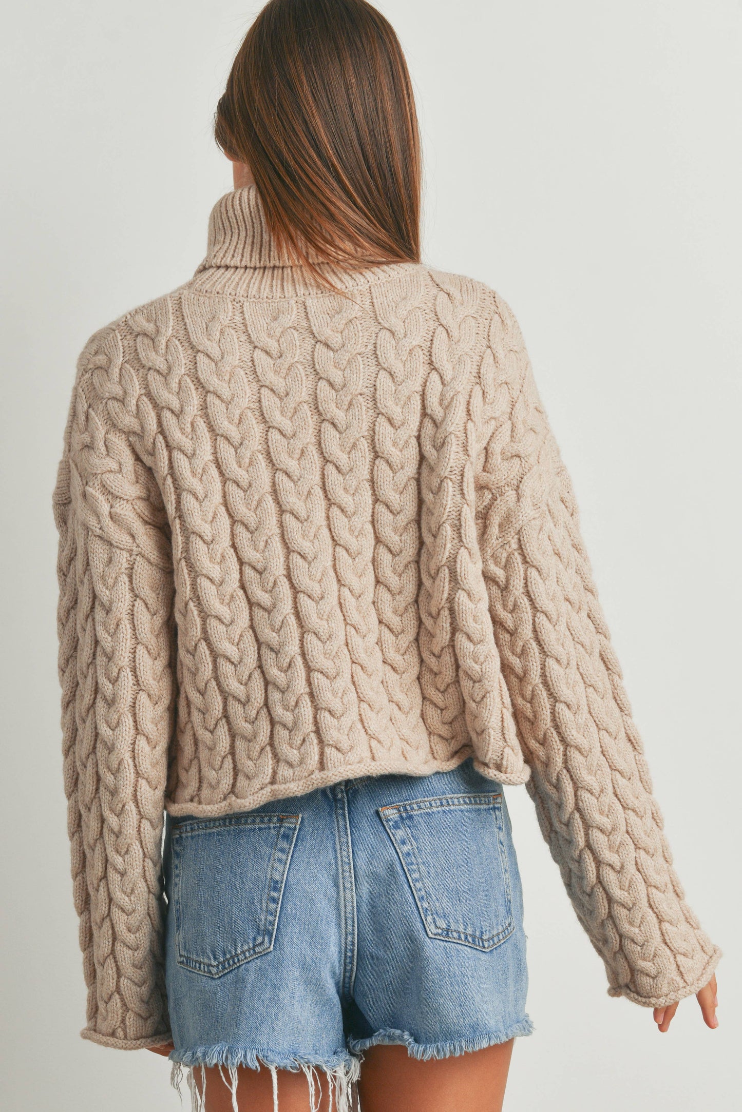 THICK BRAID WITH TURTLE NECK SWEATER