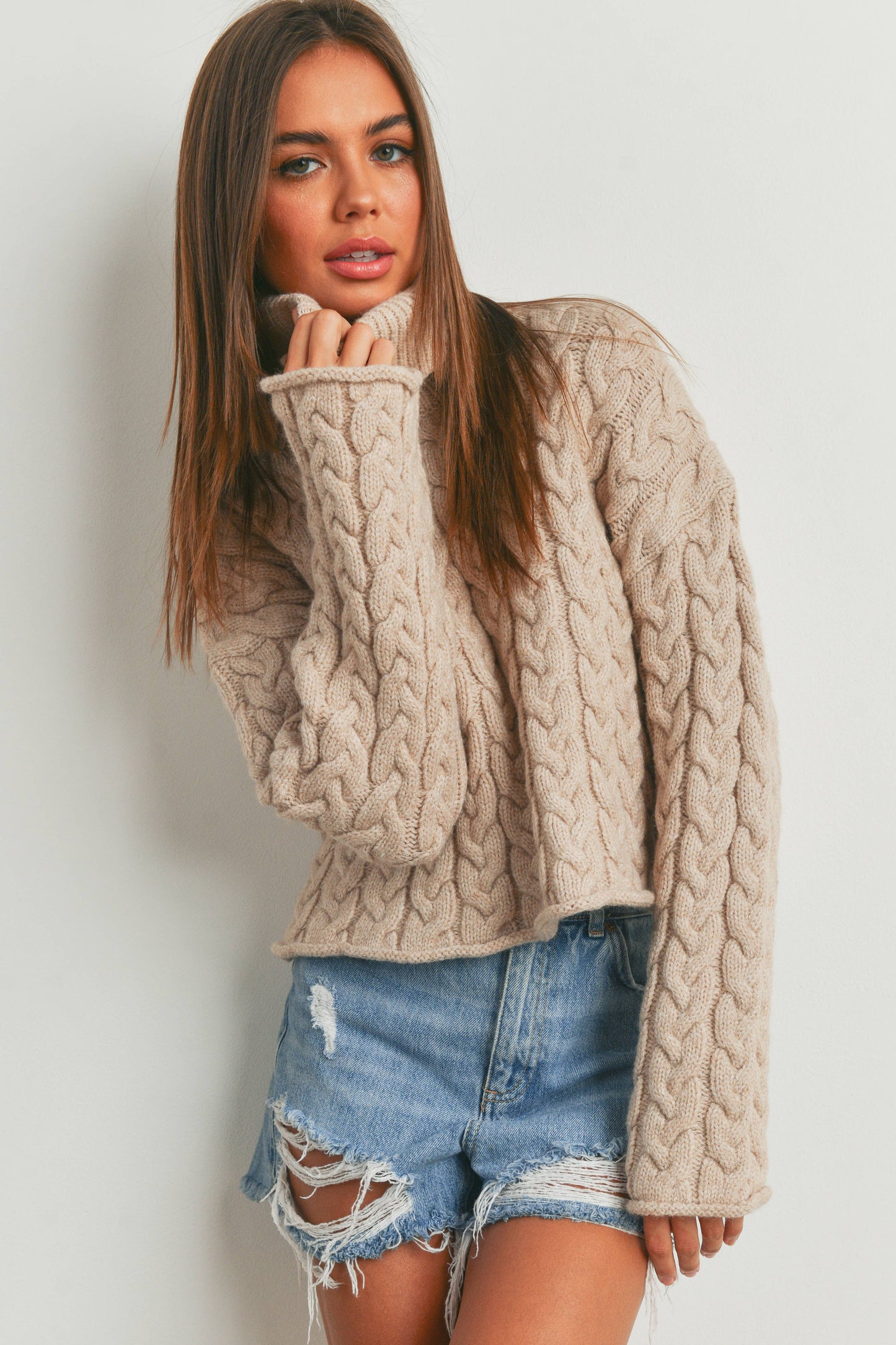 THICK BRAID WITH TURTLE NECK SWEATER