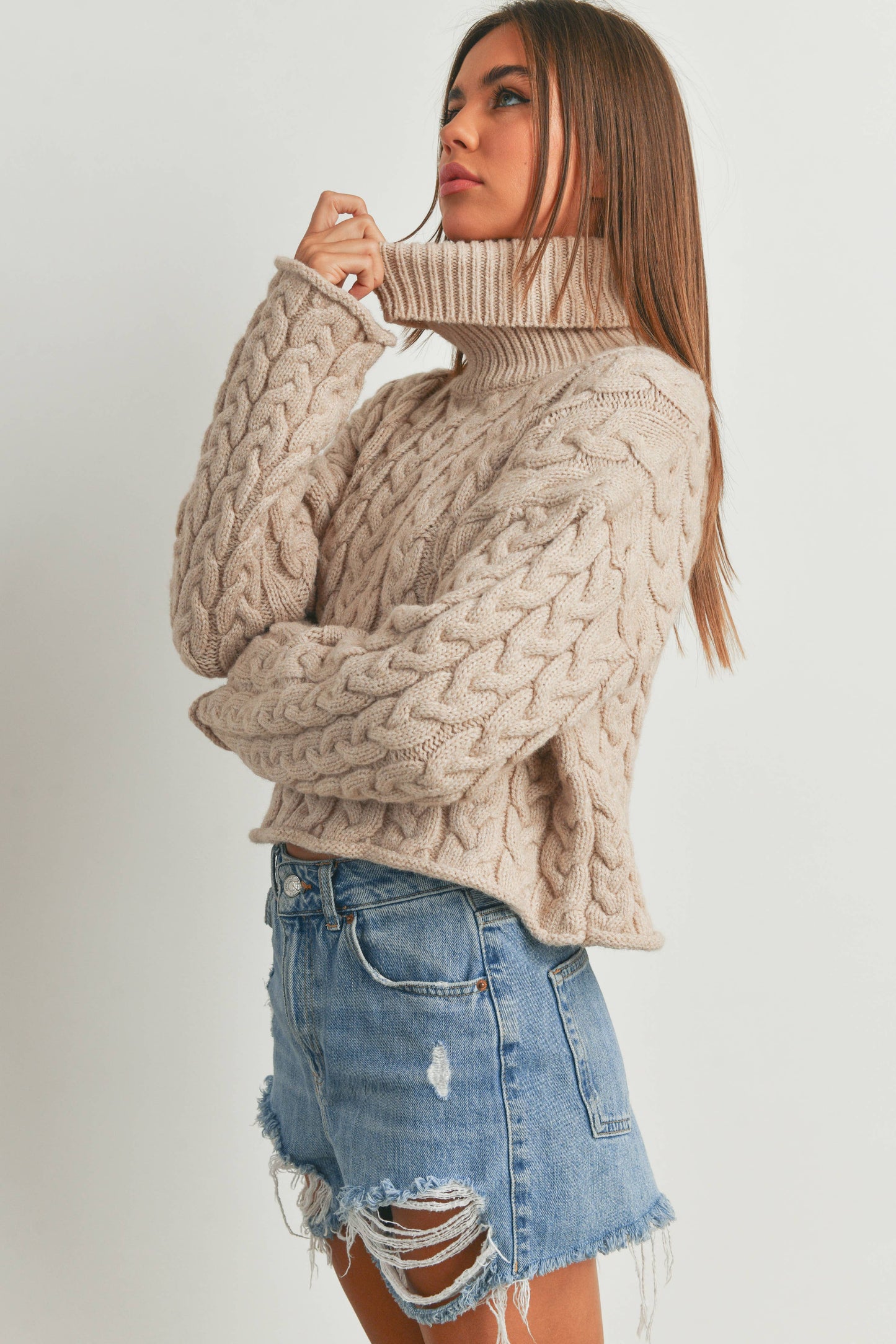THICK BRAID WITH TURTLE NECK SWEATER